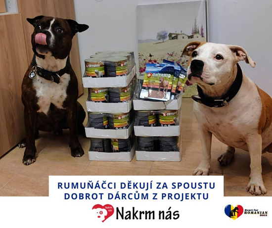 heart for romanian dogs květen23